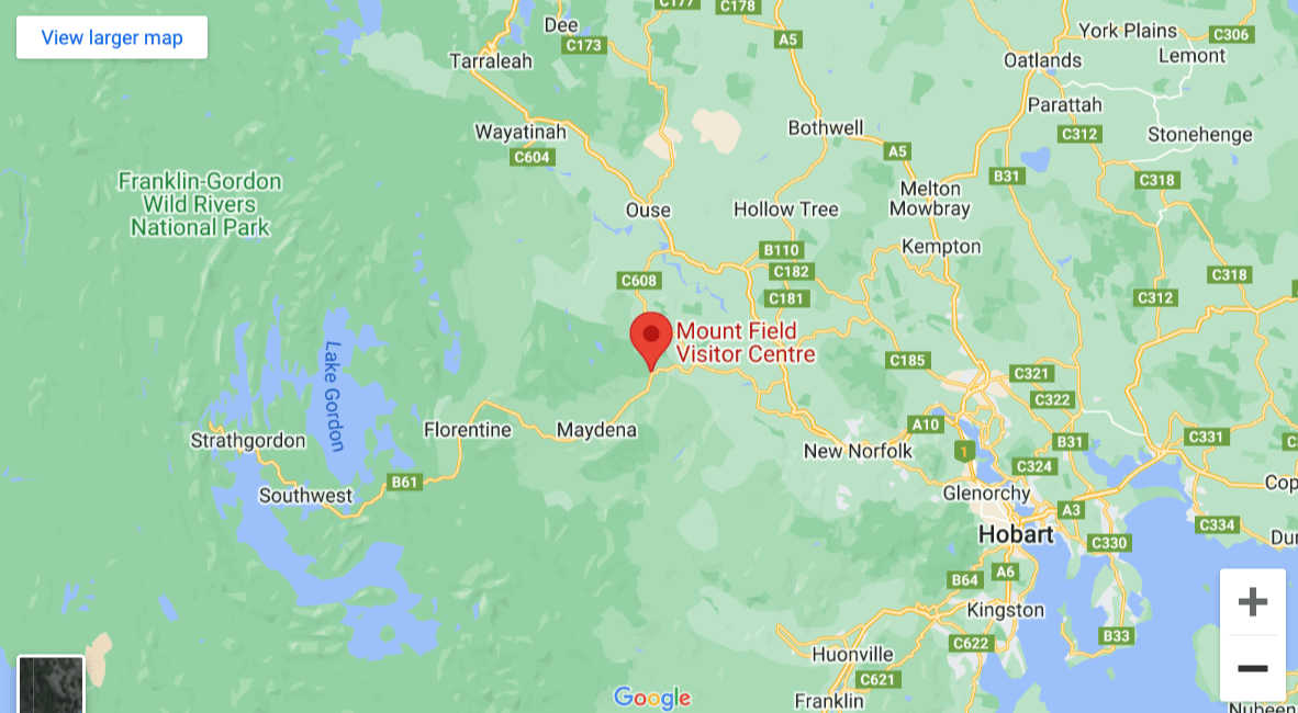 Three Falls Circuit & Tall Trees Walk in Mount Field National Park