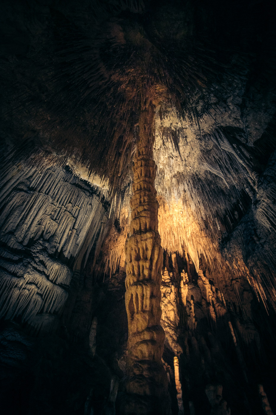 Visiting Hastings Caves and Thermal Springs Tasmania's Best Cave Tour