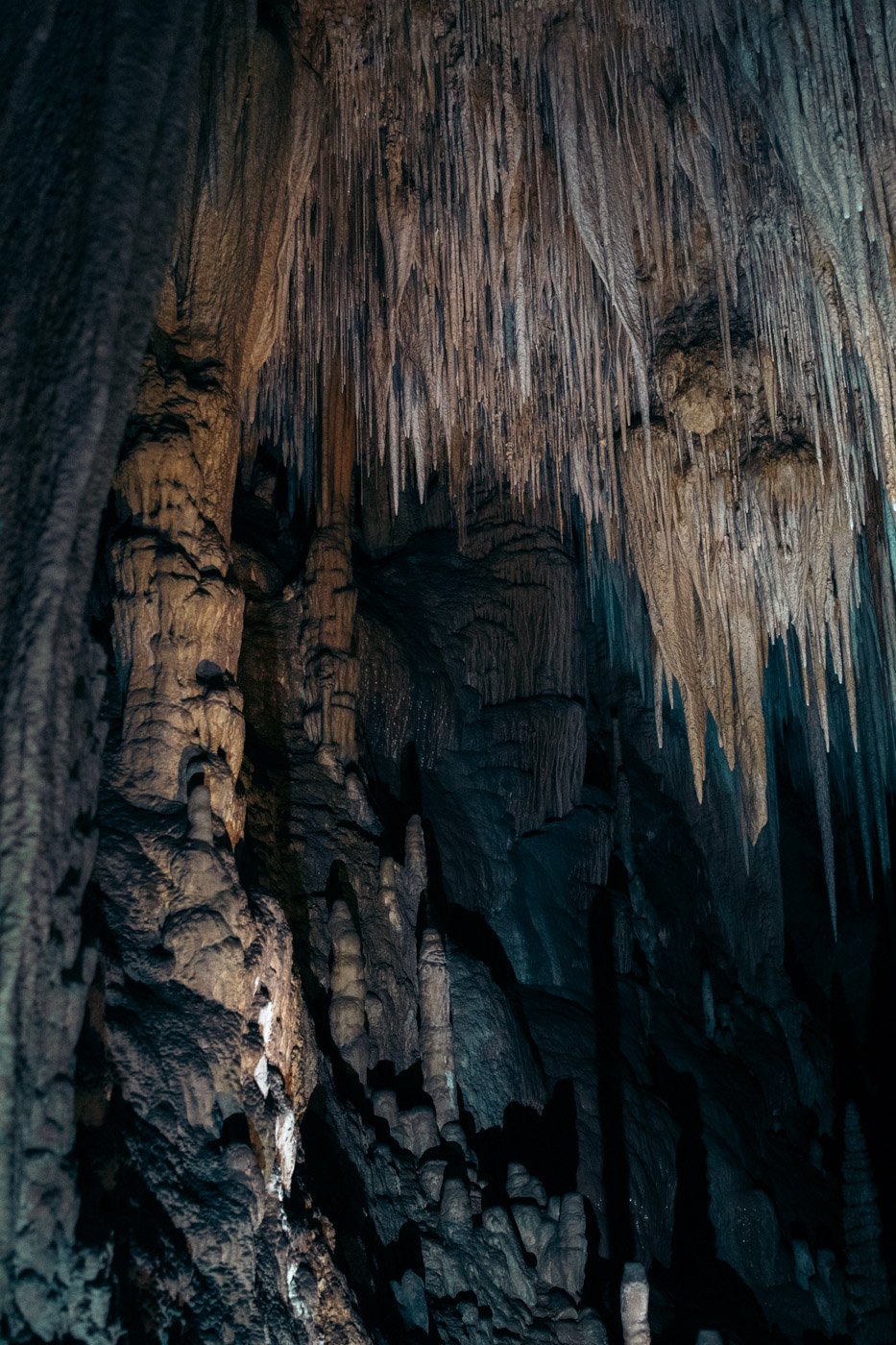 Visiting Hastings Caves and Thermal Springs Tasmania's Best Cave Tour We Seek Travel Visiting Hastings Caves and Thermal Springs Tasmania's Best Cave Tour We Seek Travel