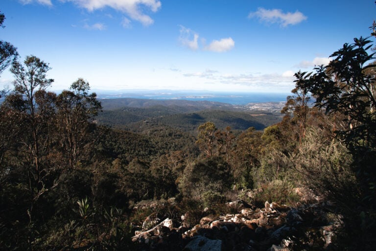 VIEW FROM MILLES TRACK WELLINGTON PARK