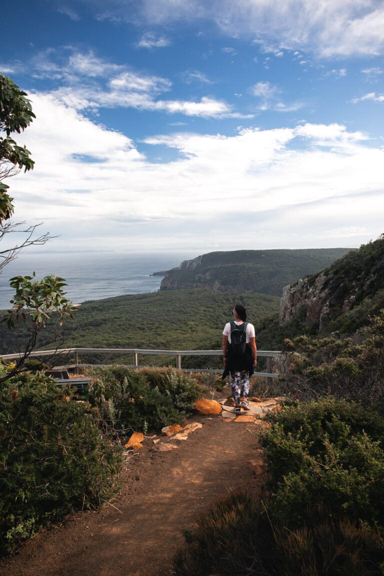 how-to-hike-cape-raoul-shipstern-bluff-track-tasmania