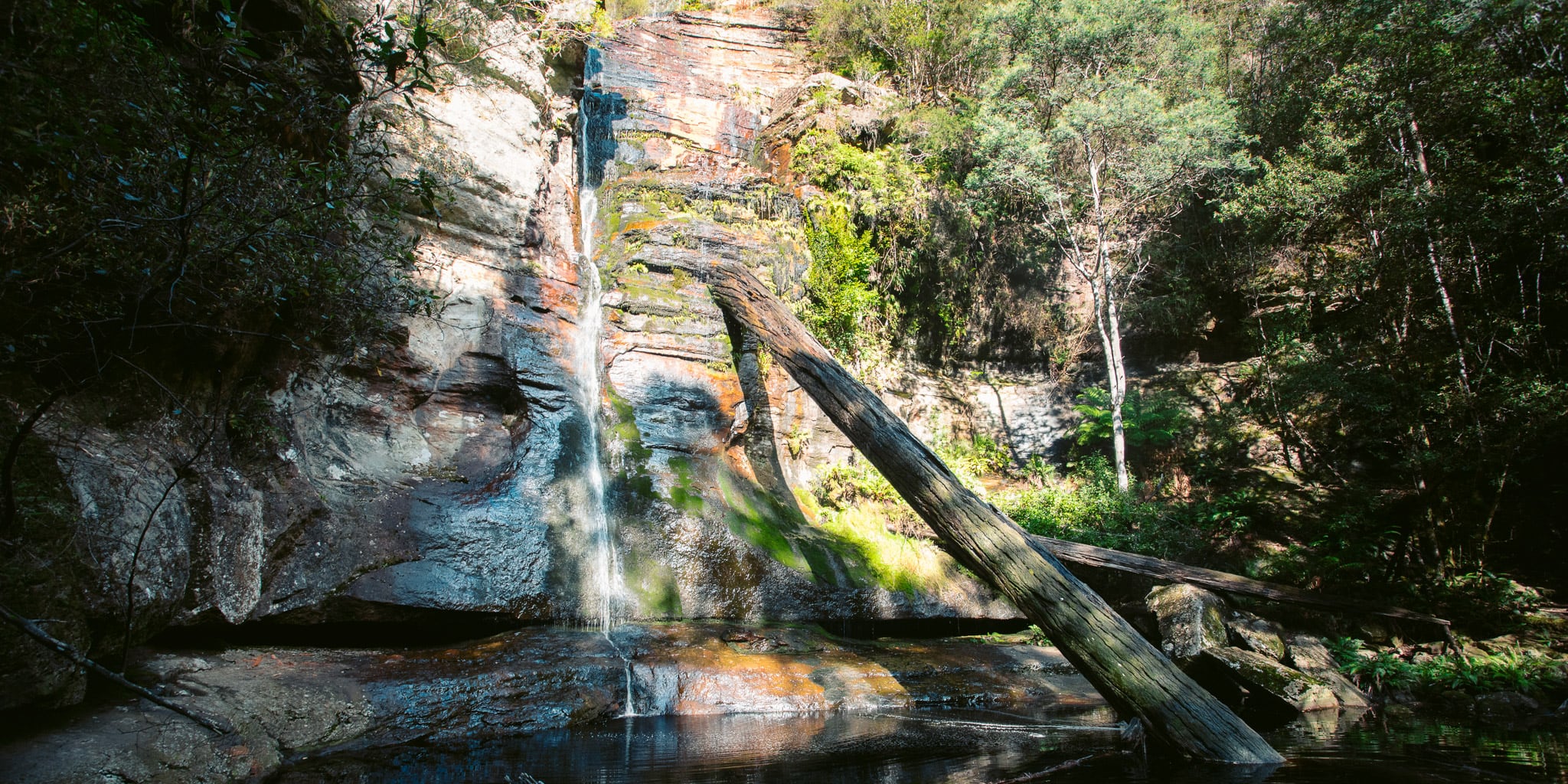 Snug Falls Tasmania An Awesome Waterfall Walk Near Hobart We Seek