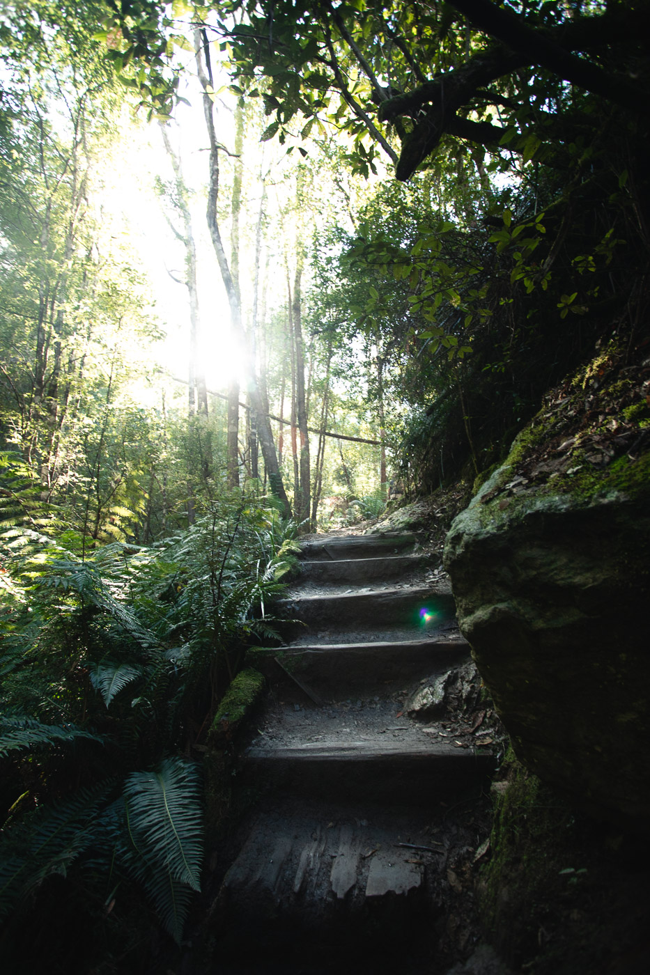 Snug Falls Tasmania An Awesome Waterfall Walk Near Hobart