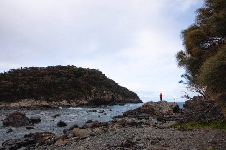 THE GULCH AND PENGUIN ISLAND GRASS POINT