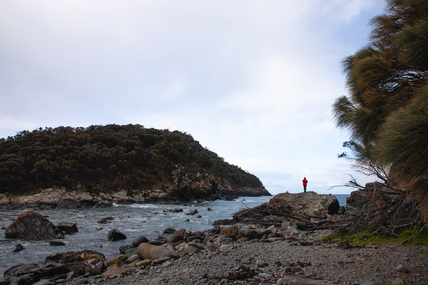 The Fluted Cape Walk on Bruny Island Tasmania We Seek Travel