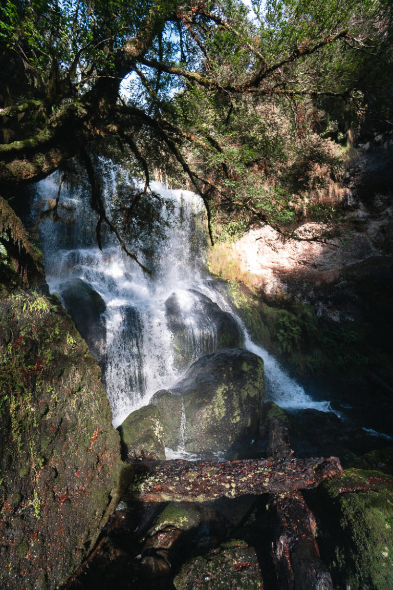 Bridal Veil & Champagne Falls in Cradle Mountain, Tasmania