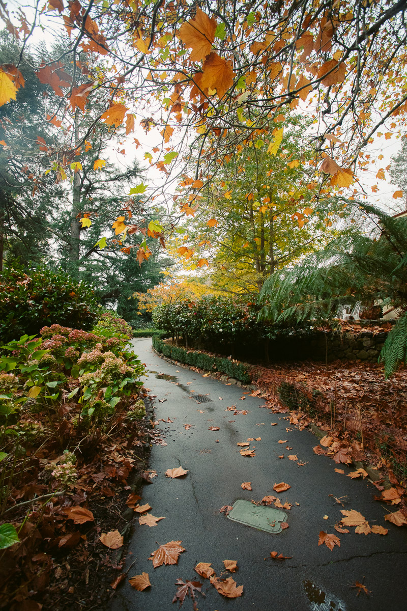 Where to Stay in Tasmania The 11 Best Areas To Visit on Your Tassie Trip We Seek Travel Blog