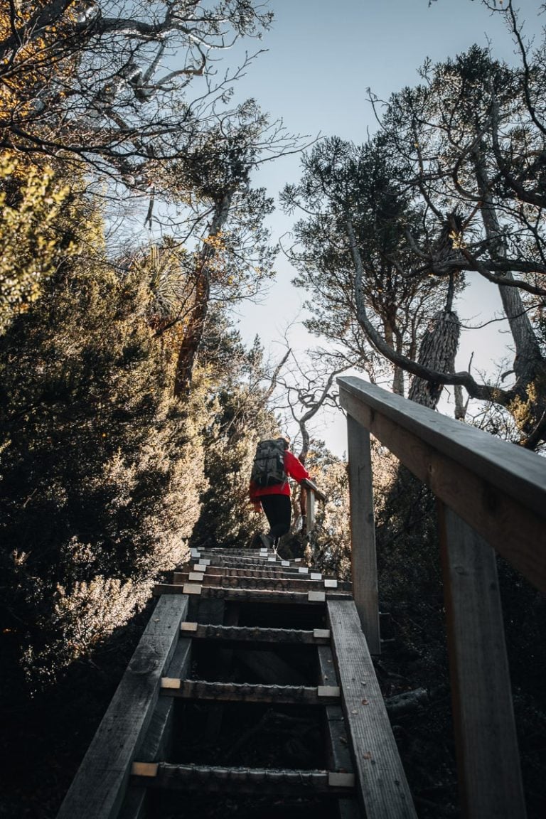 How to Hike Dove Lake Circuit in Cradle Mountain