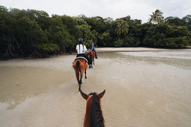 20 Best Things to Do in Cape Tribulation & the Daintree