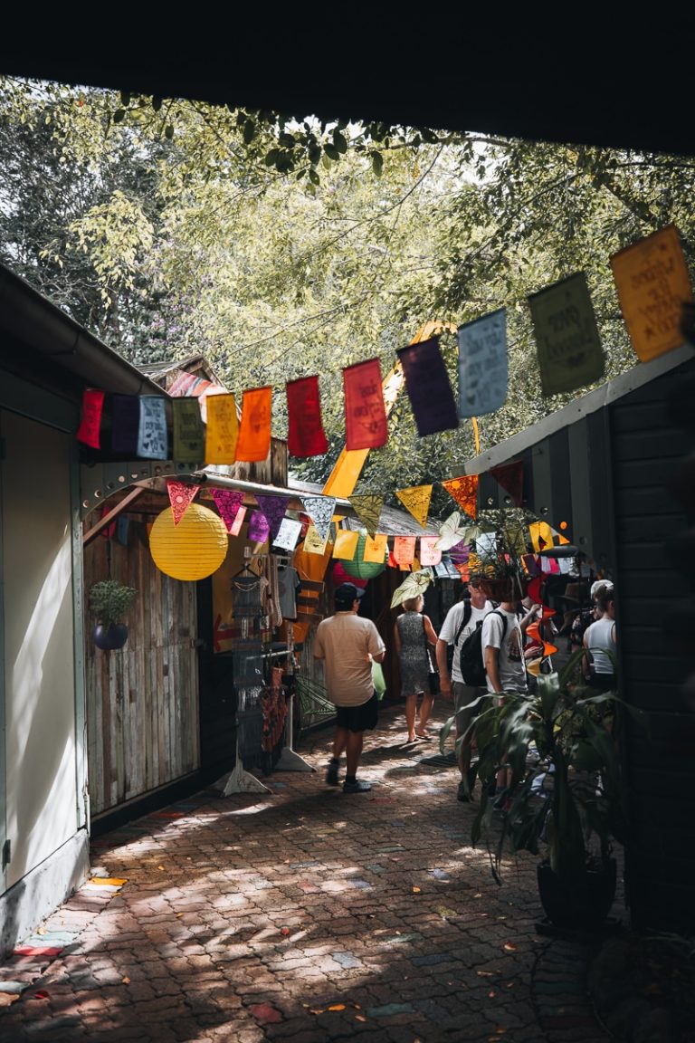 15 Best Things to Do in Kuranda For FirstTimers