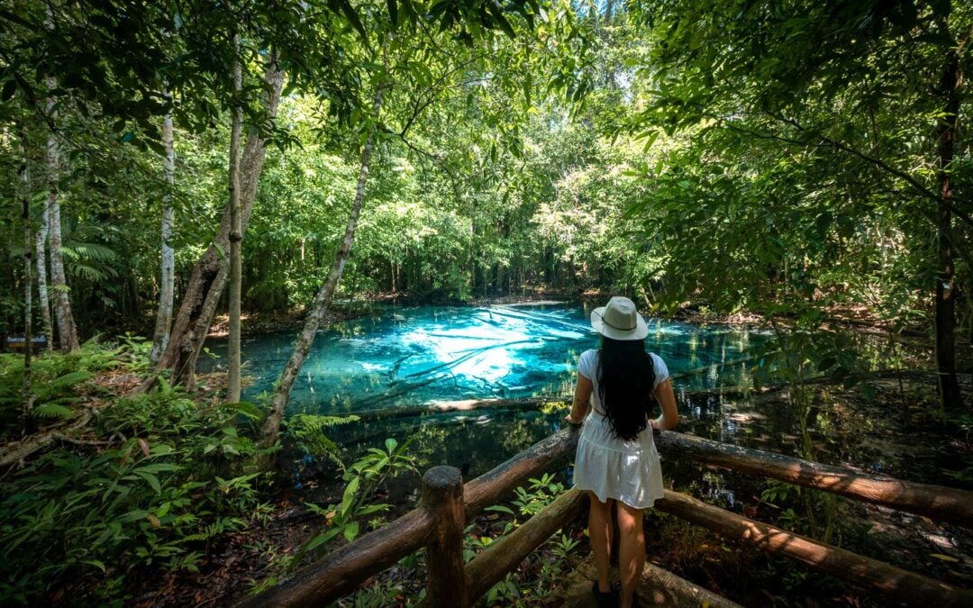 Emerald Pool Krabi Guide to the Emerald & Blue Lagoon