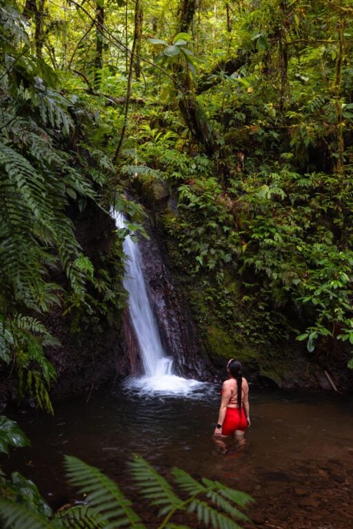Imbu Rano Lodge: My Experience On Kolombangara Island Traveler hiking to a waterfall on kolombangara island, solomon islands