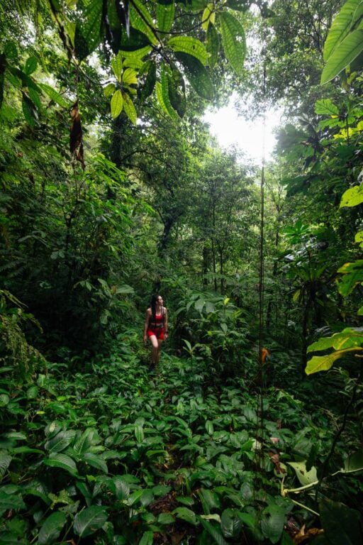 Imbu Rano Lodge: My Experience On Kolombangara Island Traveler hiking on kolombangara island, solomon islands