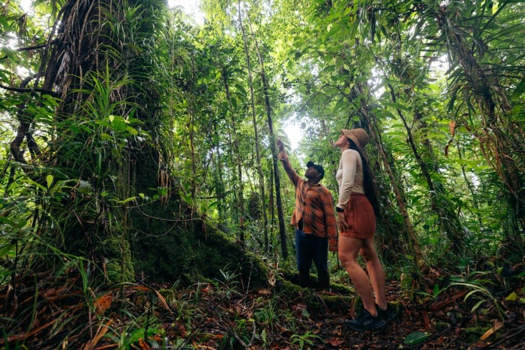 Imbu Rano Lodge: My Experience On Kolombangara Island Traveler and guide on the ridge trail on kolombangara island, solomon islands