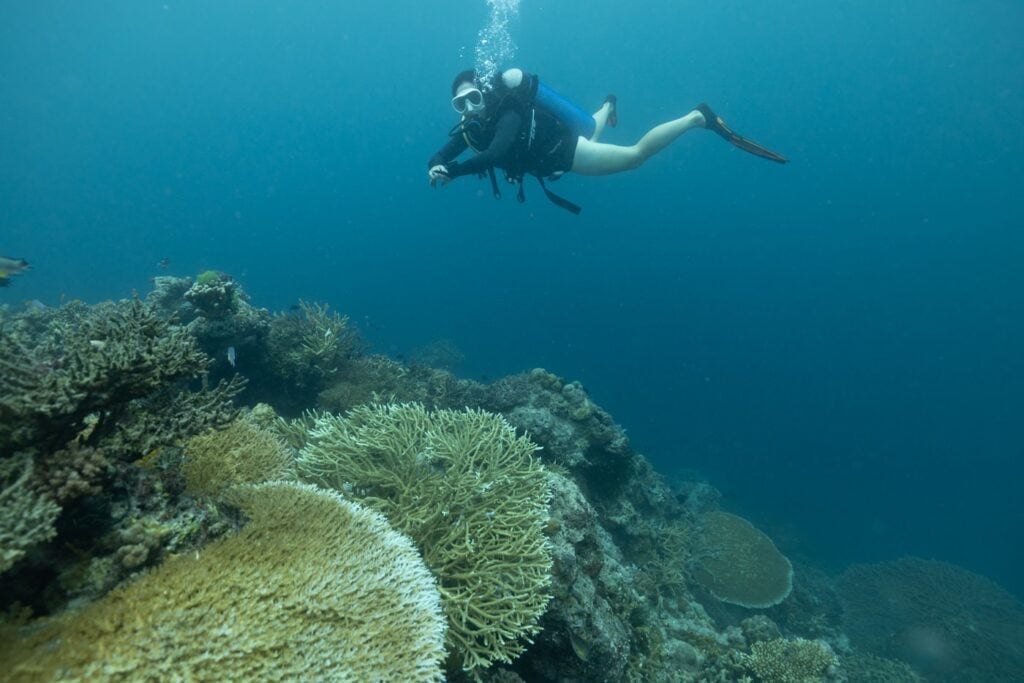 Girl Diving at Kennedy Island
