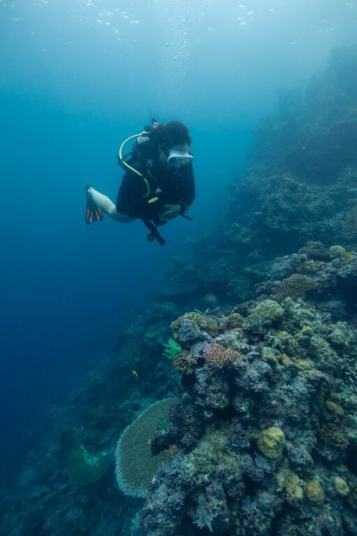 Girl diving at Kennedy Island