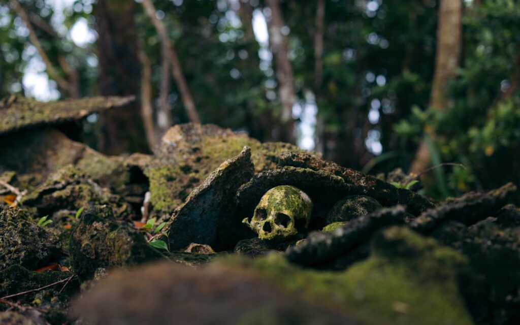 Headhunter skull on Skull Island, Solomon Islands