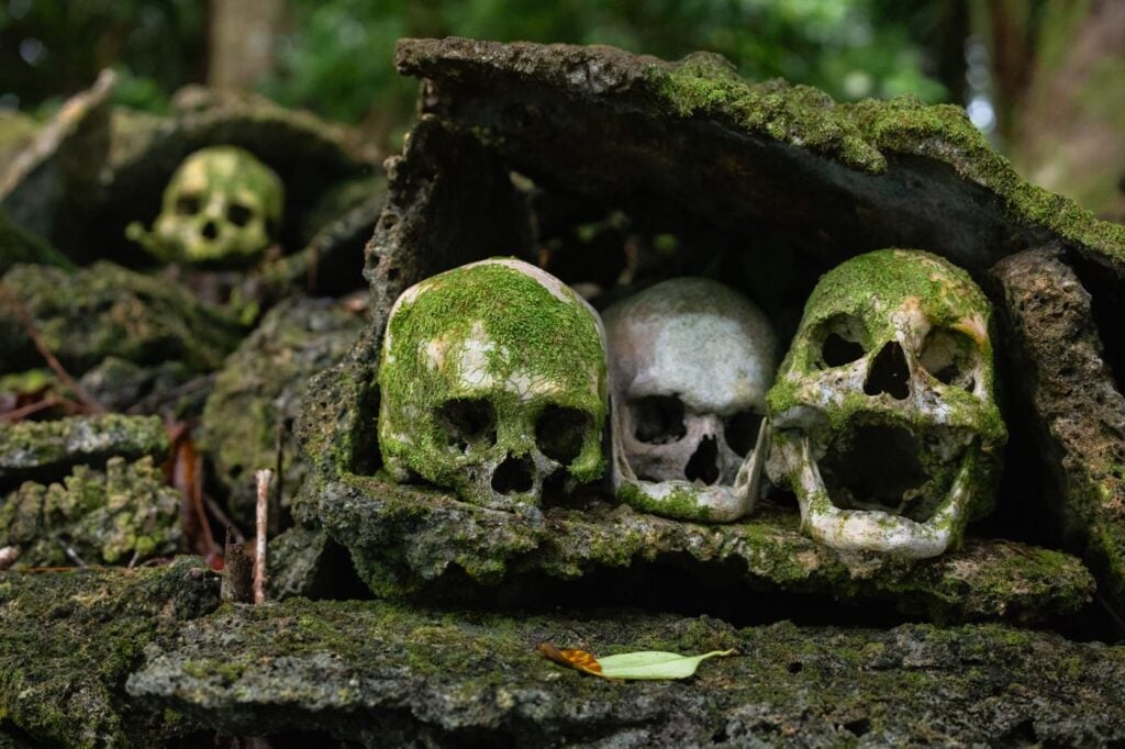 Skull Island Solomon Islands: Inside A Headhunter Shrine Headhunter skulls, solomon islands