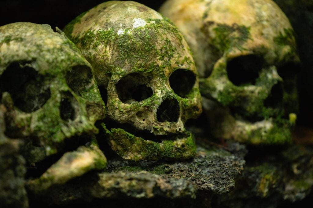 Skull Island Solomon Islands: Inside A Headhunter Shrine Headhunter skulls from skull island, solomon islands
