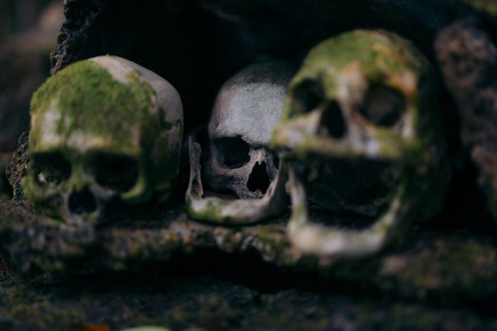 Skull Island Solomon Islands: Inside A Headhunter Shrine Skulls on skull island, solomons