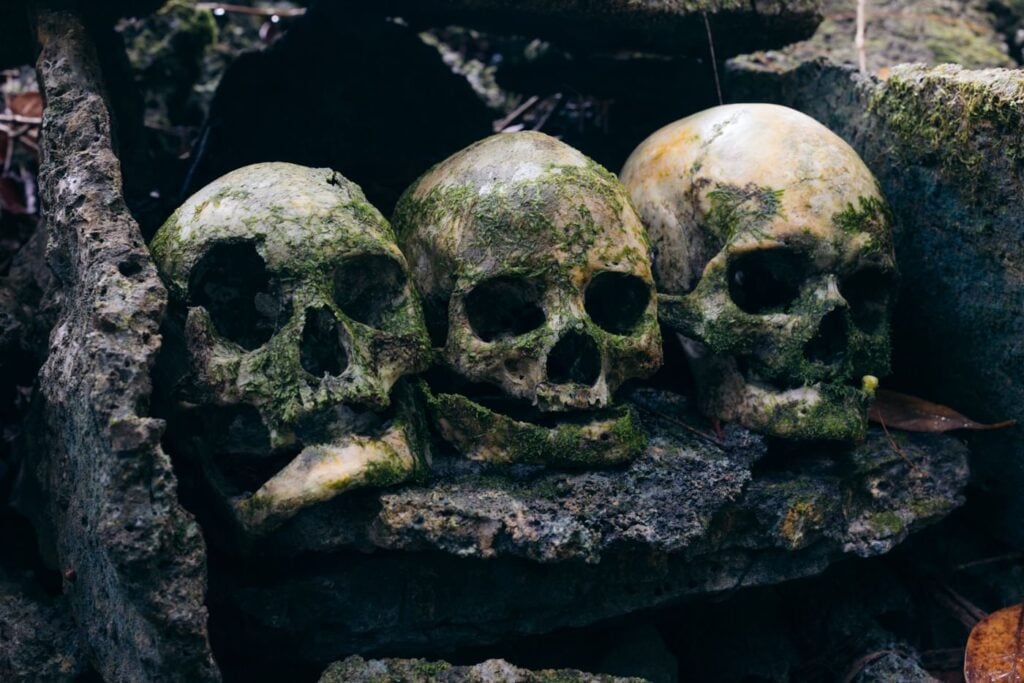 Skull Island Solomon Islands: Inside A Headhunter Shrine Skulls stacked on a rock in the solomon islands