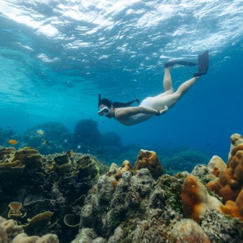 How to visit kennedy island, solomon islands & what to expect