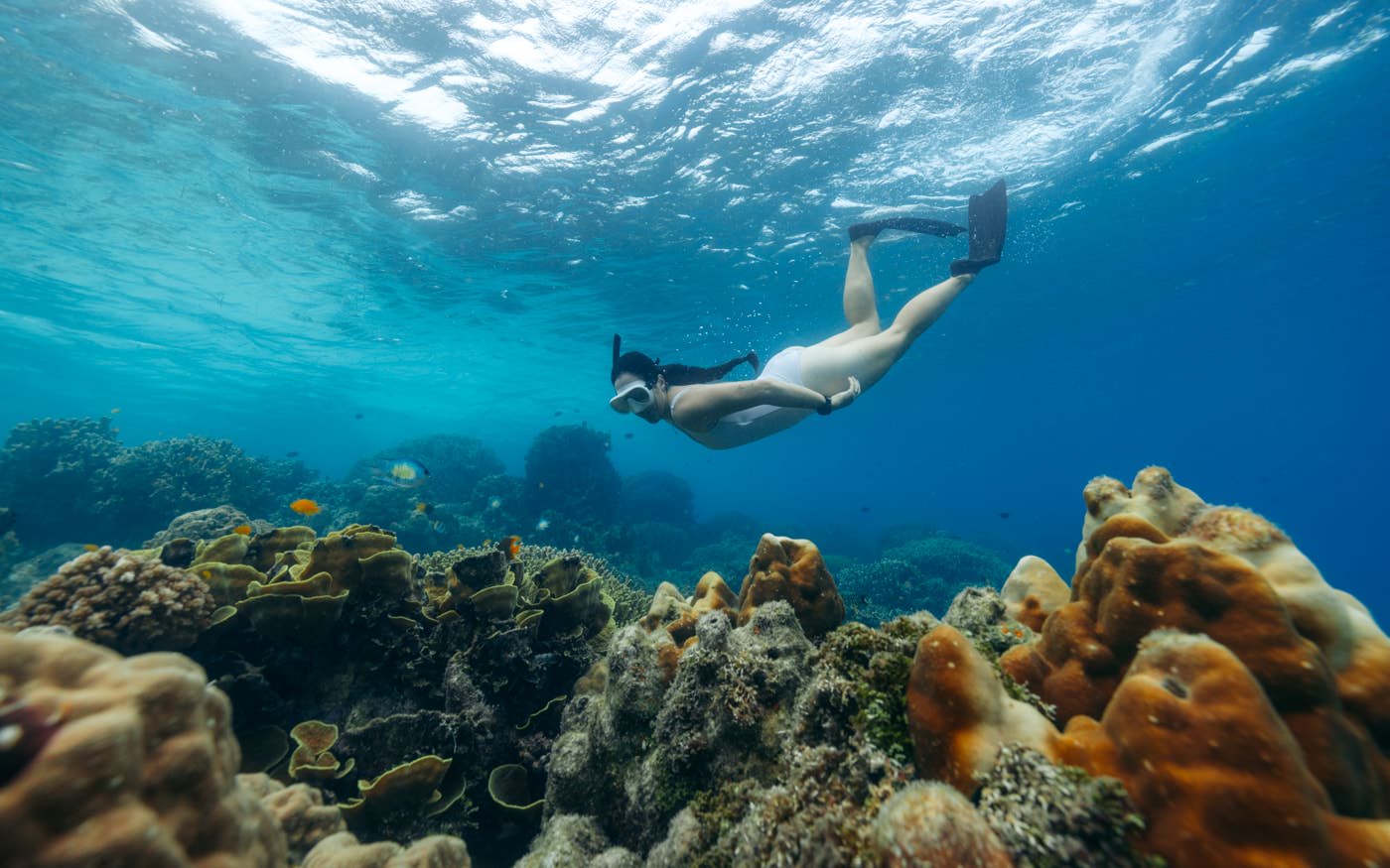 How to Visit Kennedy Island, Solomon Islands & What to Expect
