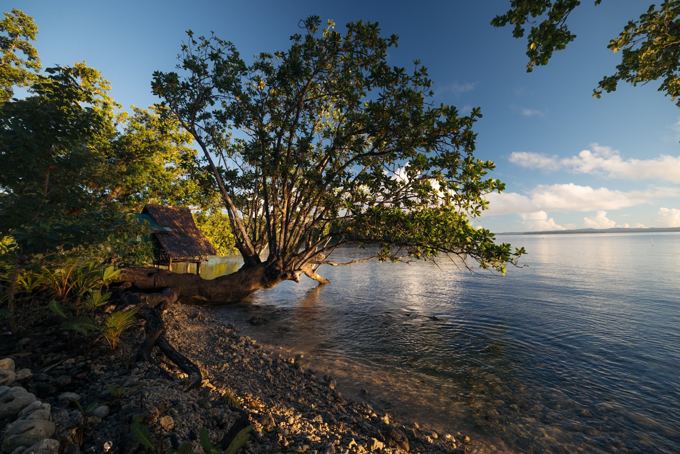 Titiru Eco Lodge Review: Rendova’s Best Local Stay Beach at titiru eco lodge