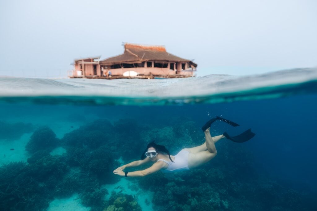 Solomon Islands Eco Lodges &Amp; Dive Resorts Guide Snorkeling at imagination island resort, the solomon islands