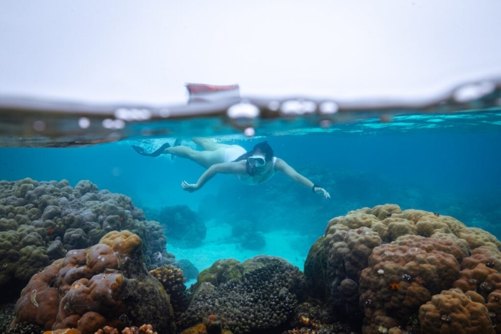 Solomon Islands Eco Lodges &Amp; Dive Resorts Guide Snorkeling at imagination island resort, the solomon islands