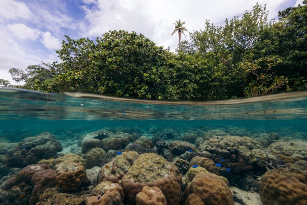 Rainbow point snorkeling near Lubaria Island, Solomon Islands