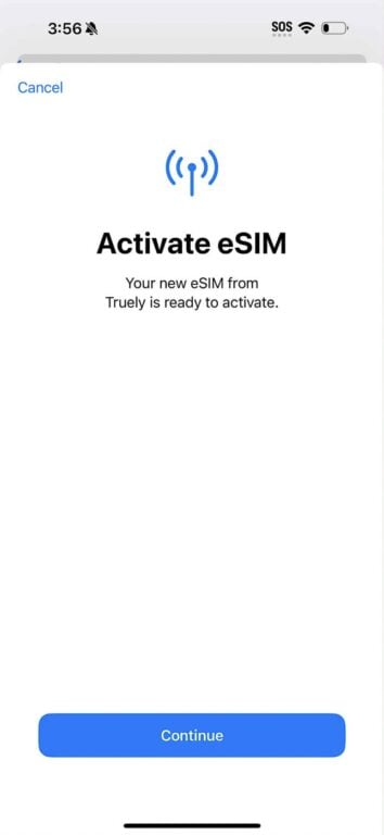 eSIM activation page on iPhone