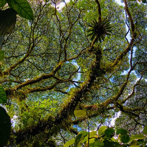 5 Ways to Get from San José to La Fortuna, Costa Rica
