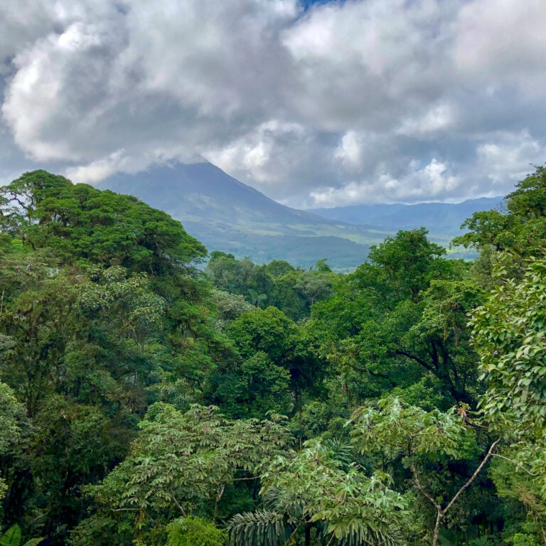 Costa Rican jungle with volcano in the distance