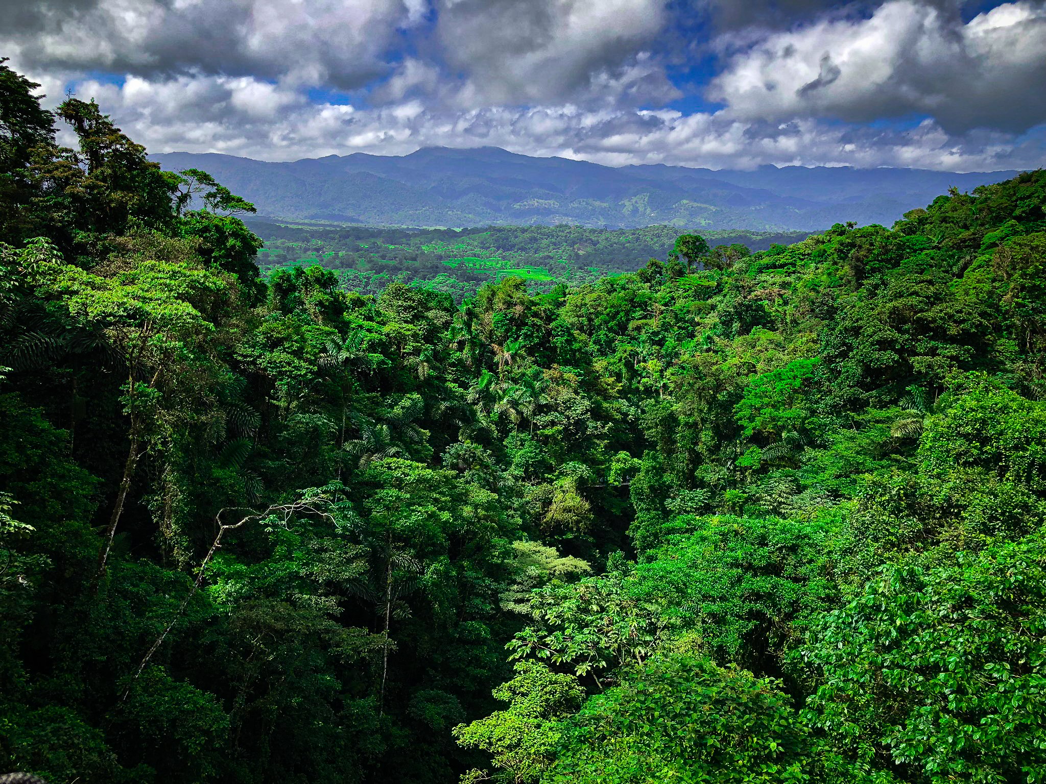 7 Regions of Costa Rica: Where to Visit and What to Do