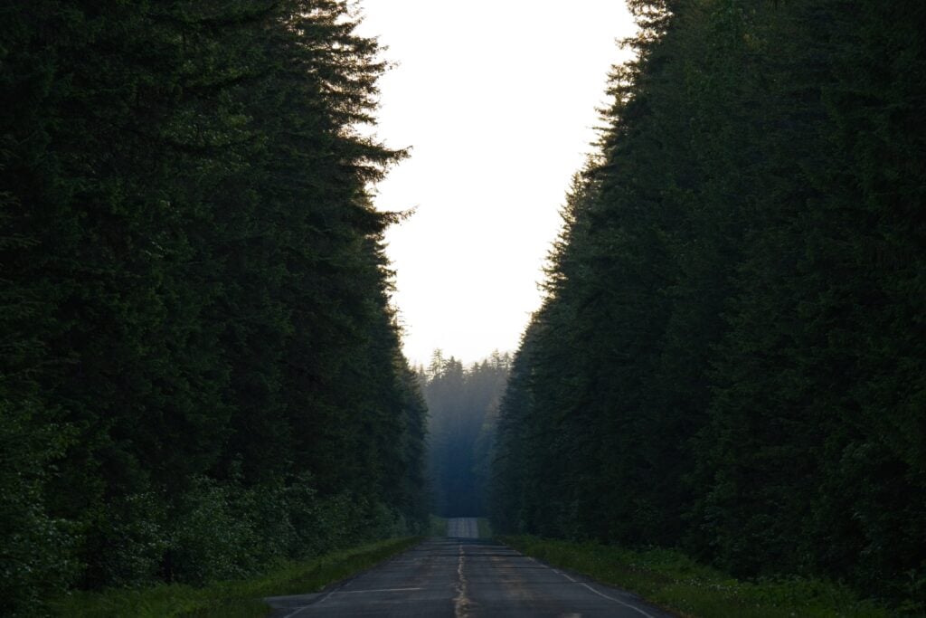 Road to Glacier Bay Lodge