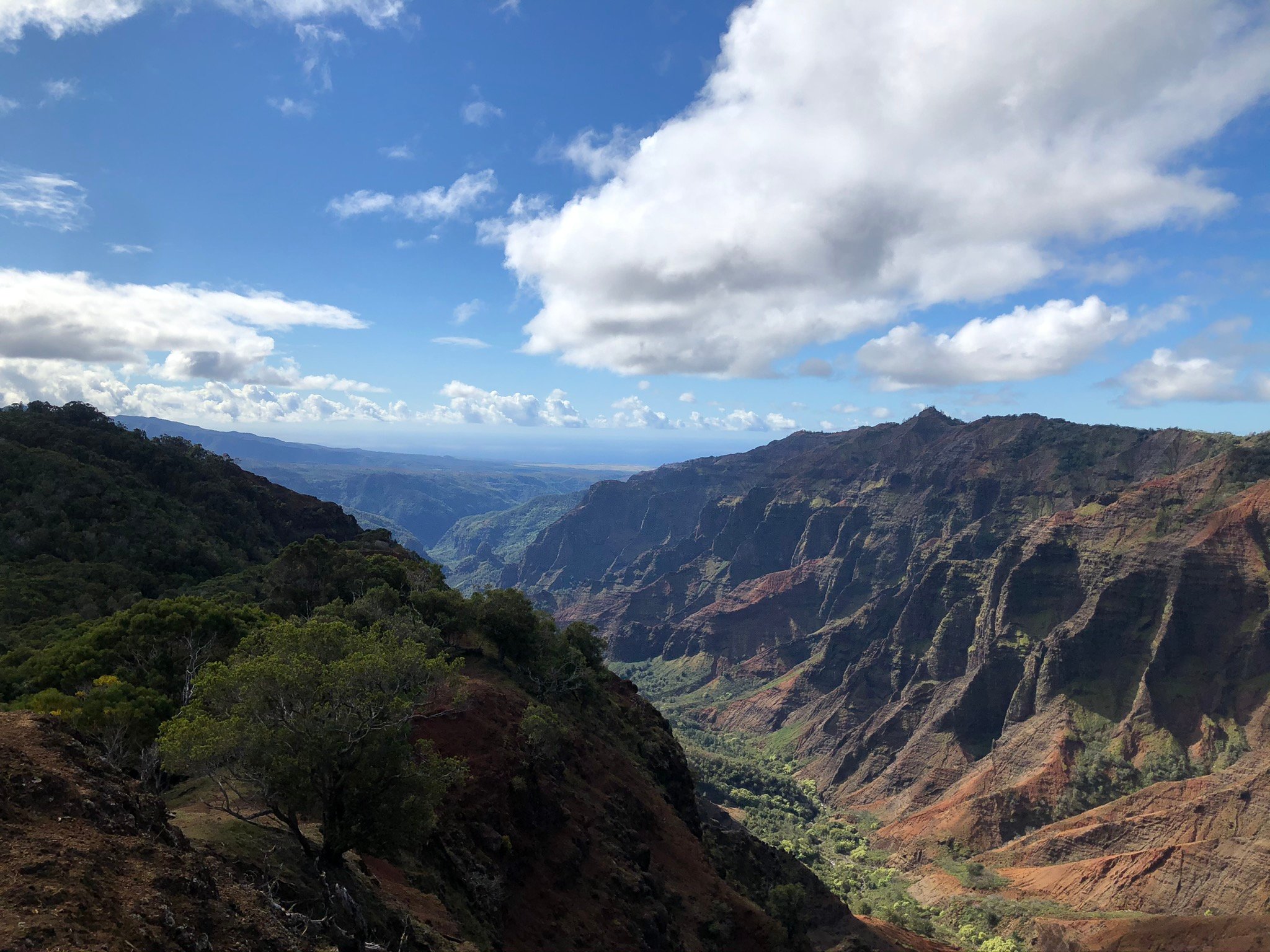 Hiking With Kids: 7 Helpful Tips For An Awesome Experience