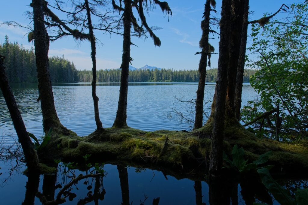 Bartlett River Trail estuary