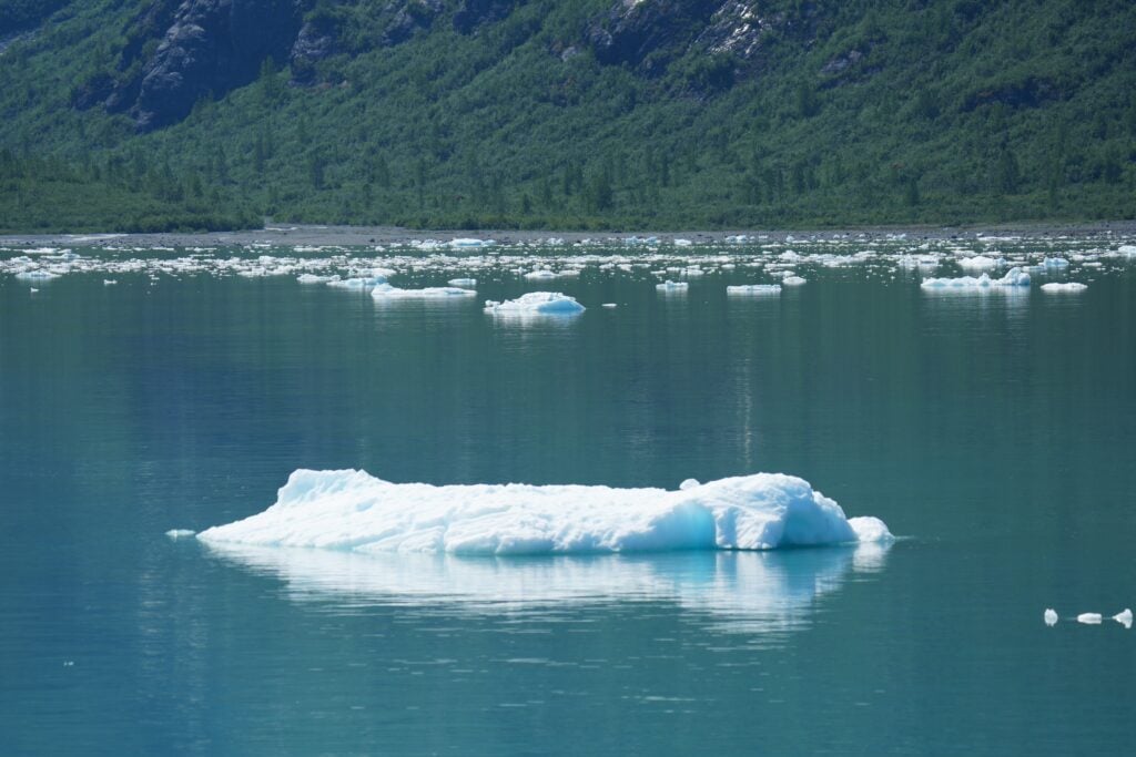 Floating mini-glacier in Glacier Bay