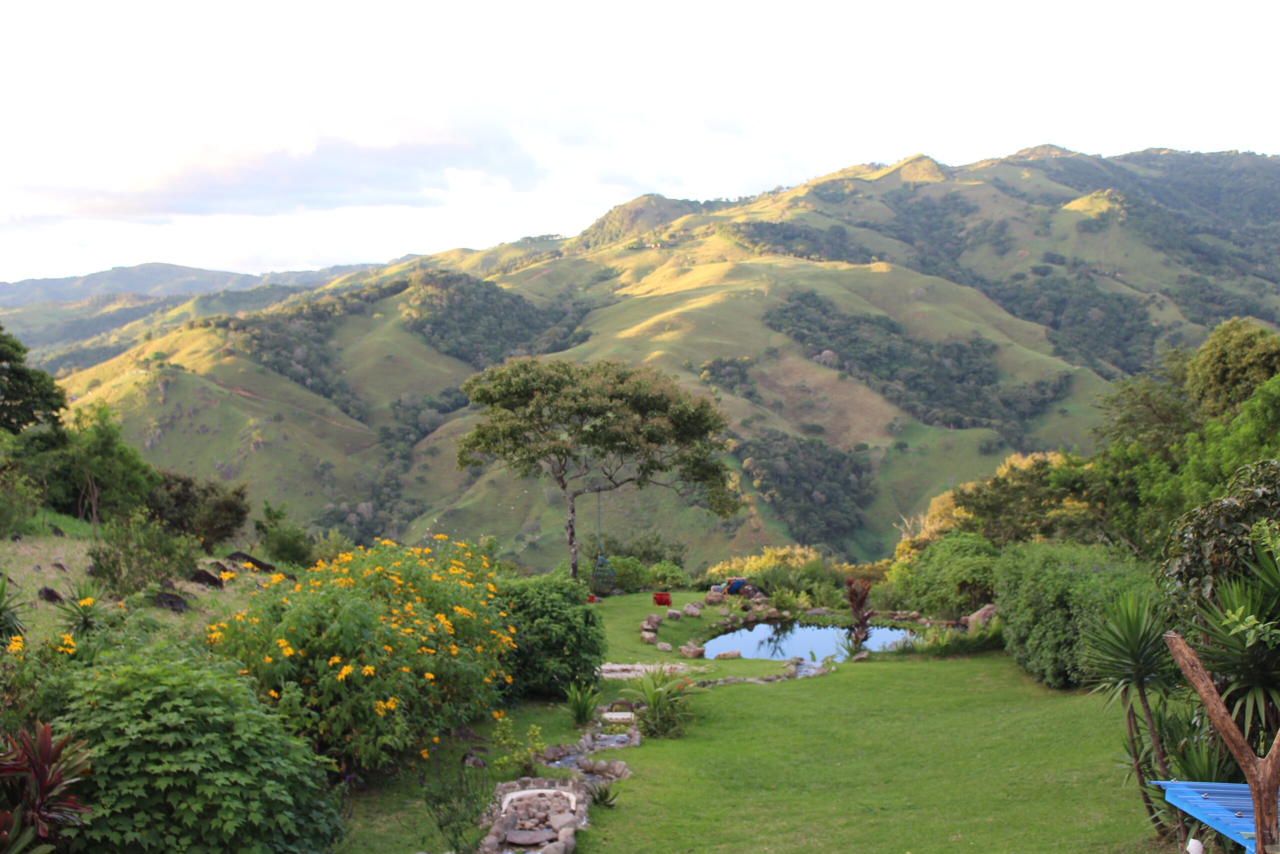 Spend 3 Days in Peaceful Monteverde, Costa Rica
