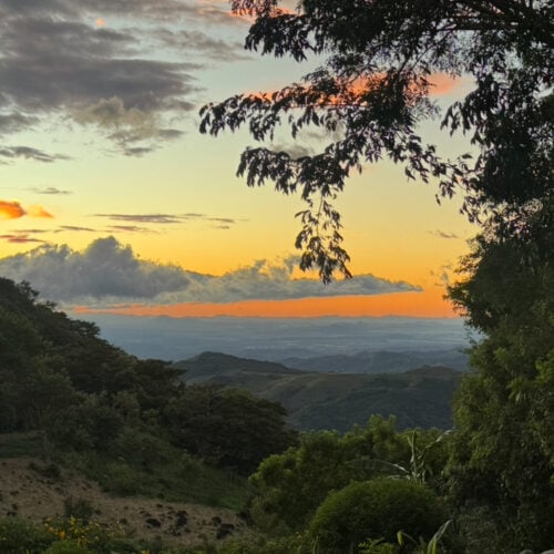 Where to Stay in Monteverde: The Best Hotels for Every Budget
