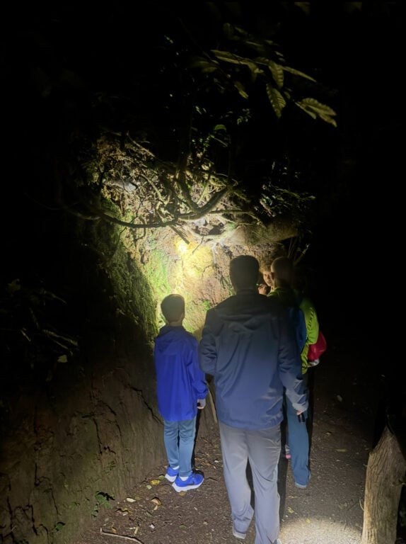 Oktari Monteverde night hike