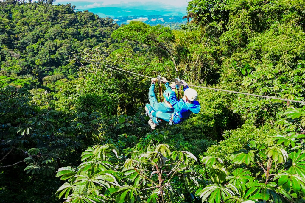 Treetopia zipline