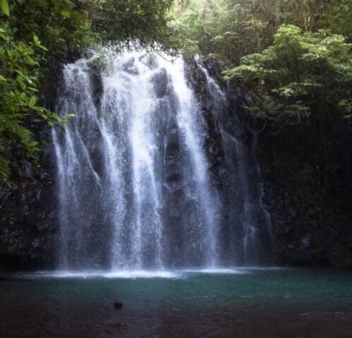 Best Atherton Tablelands Waterfalls (Waterfall Circuit Guide)