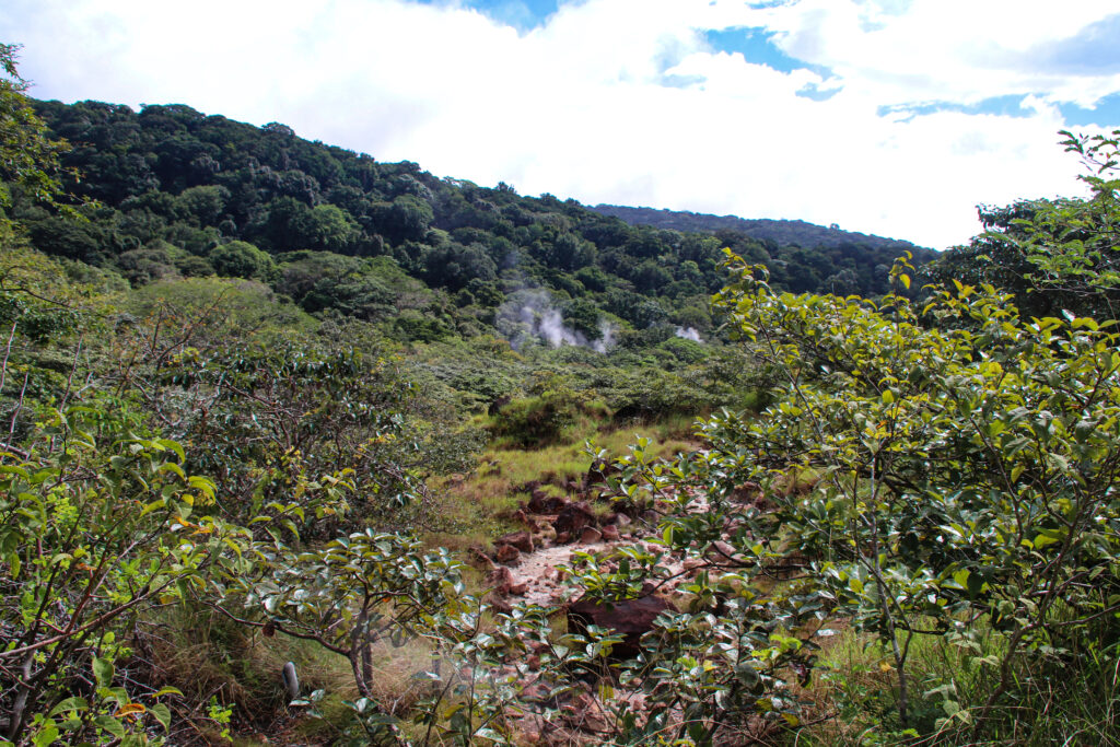 Volcanic landscape with steam vents along the Las Pailas trail in Rincon de la Vieja National Park, Costa Rica