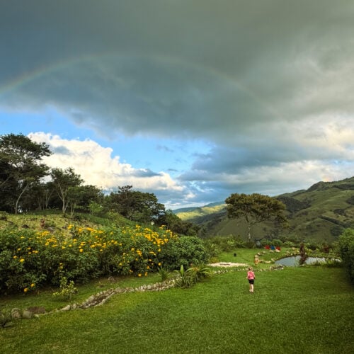 El Sol Monteverde Review: Our First-Hand Experience at This Cloud Forest Lodge