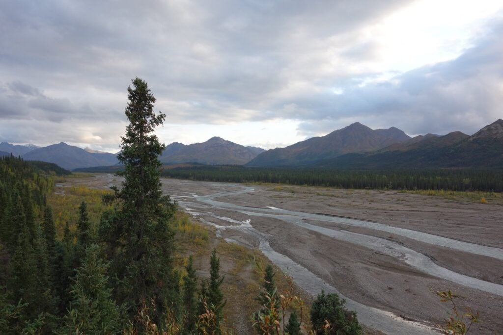 Denali Park Road
