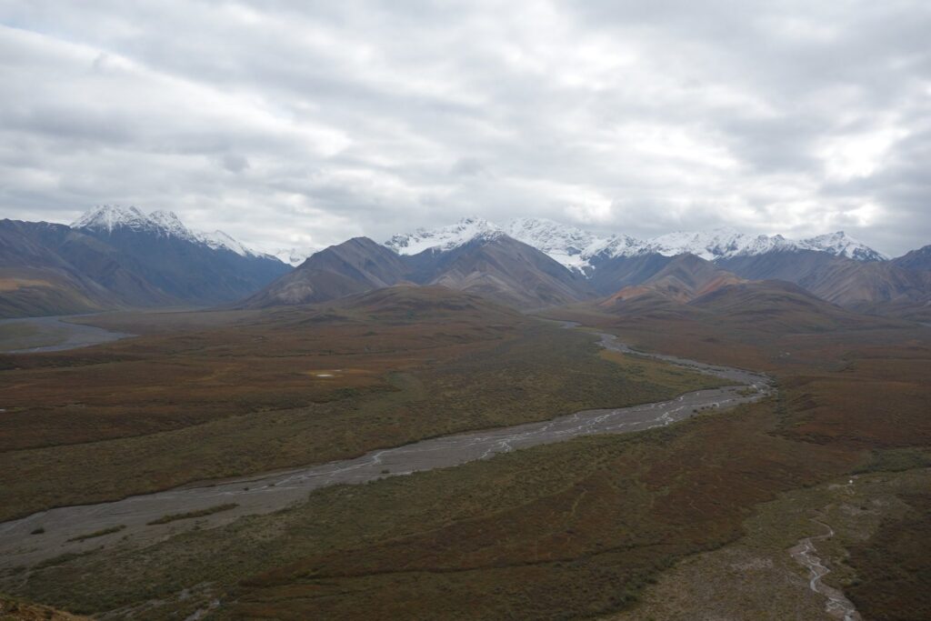 Denali Park Road