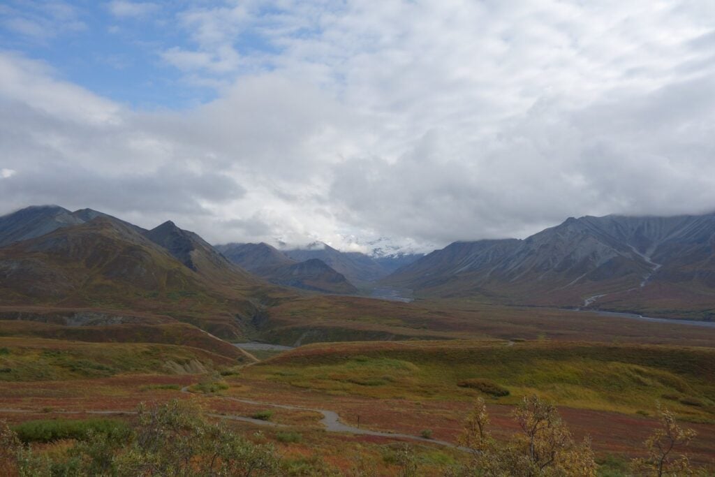 Denali Park Road