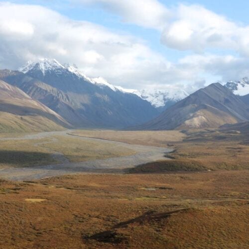 3 Days in Denali National Park